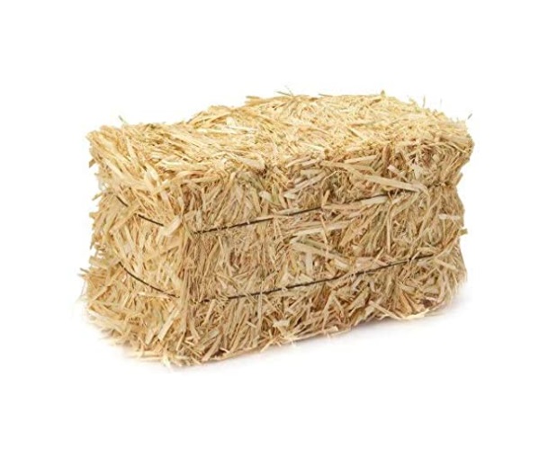 STRAW
